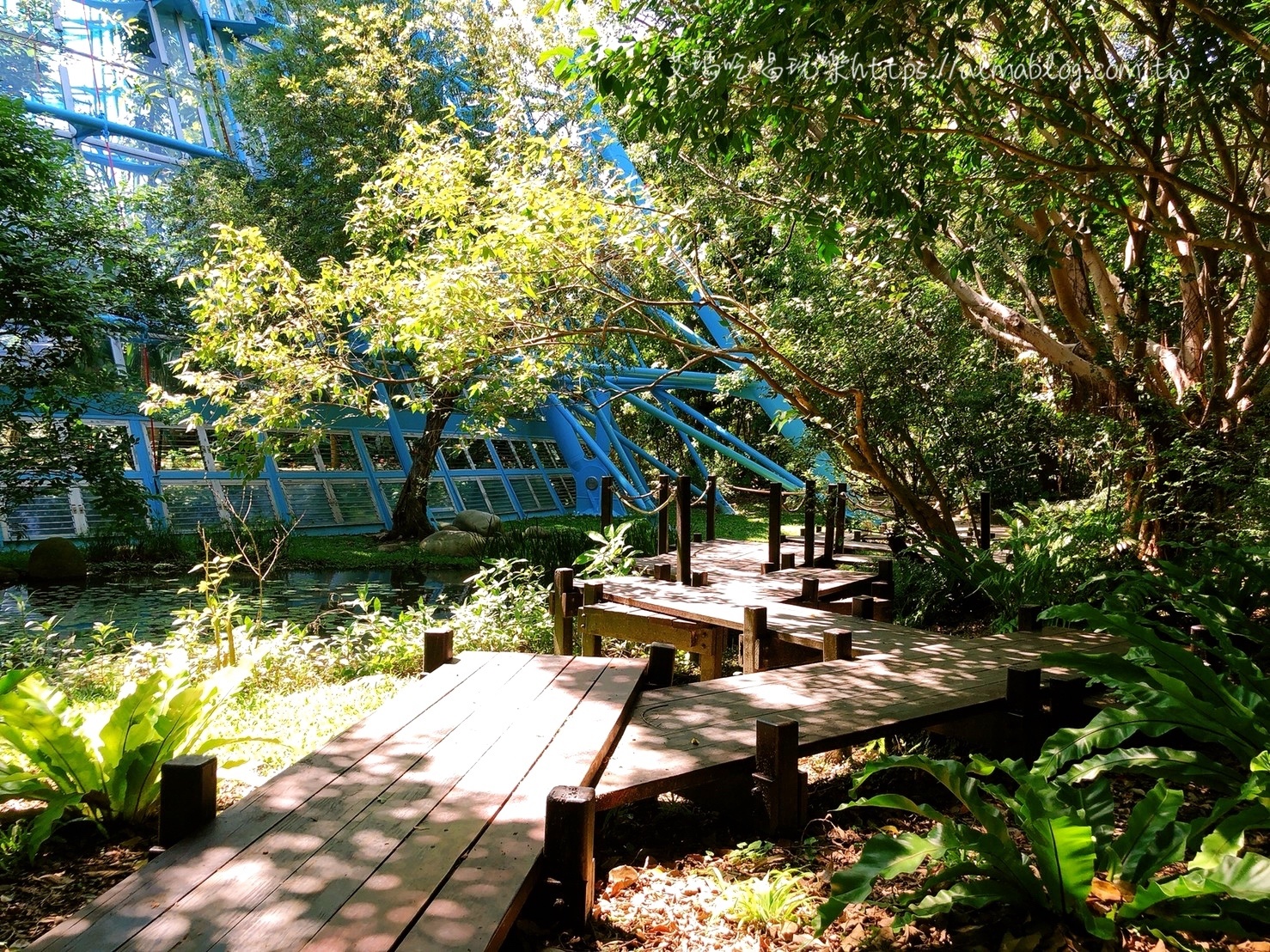 台中科學博物館植物園