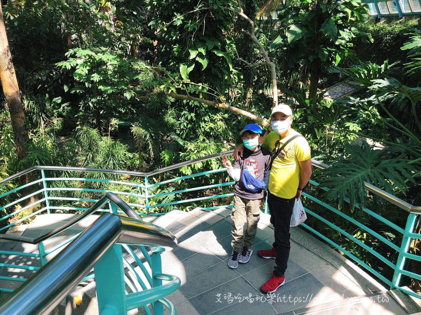 台中科學博物館植物園