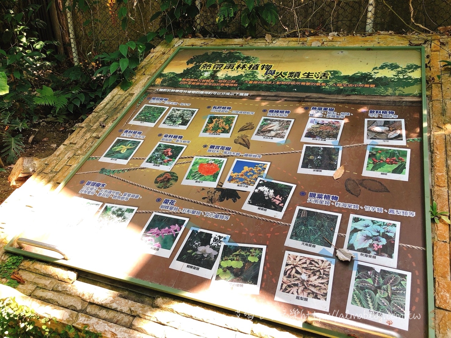 台中科學博物館植物園