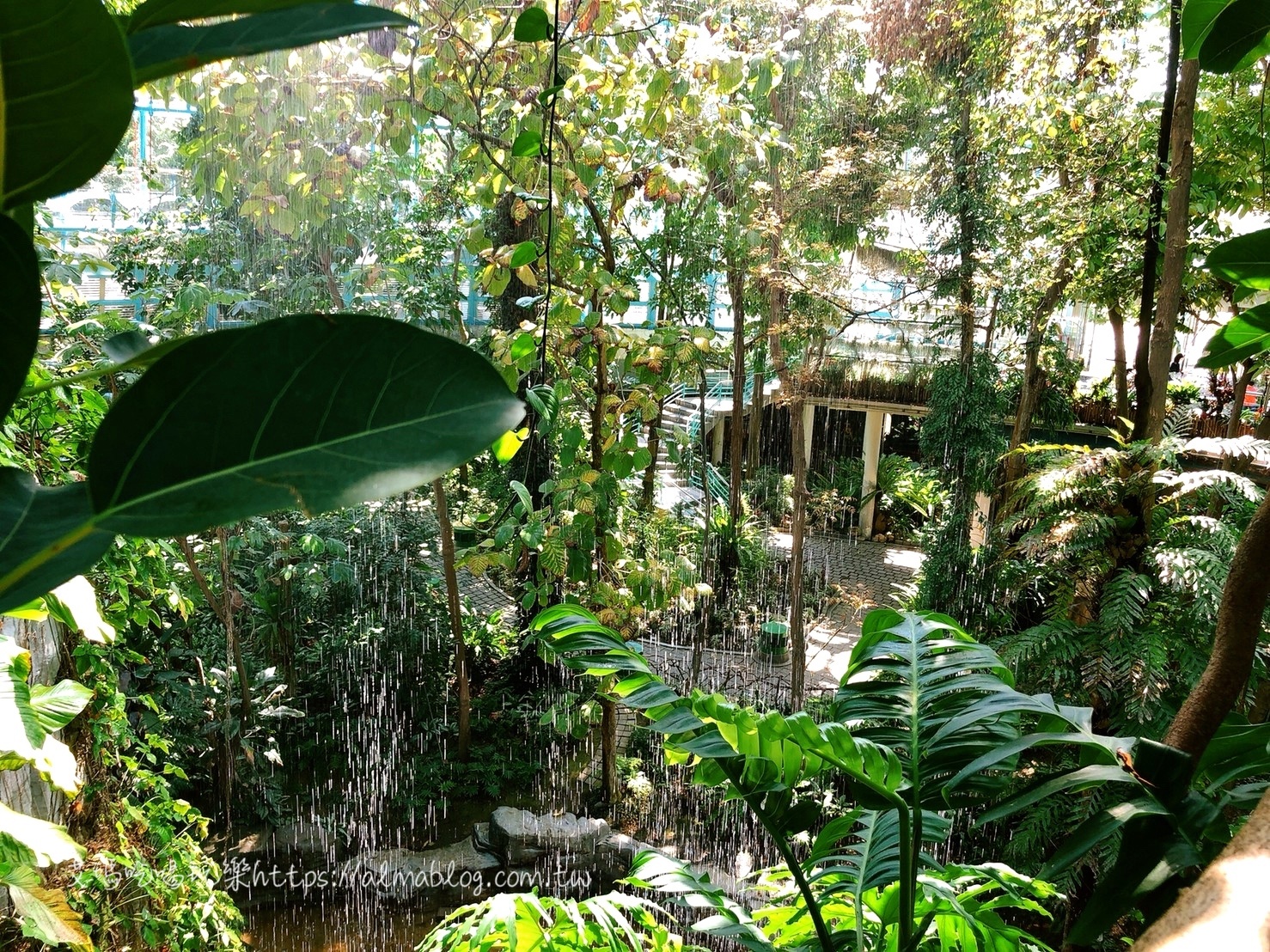 台中科學博物館植物園