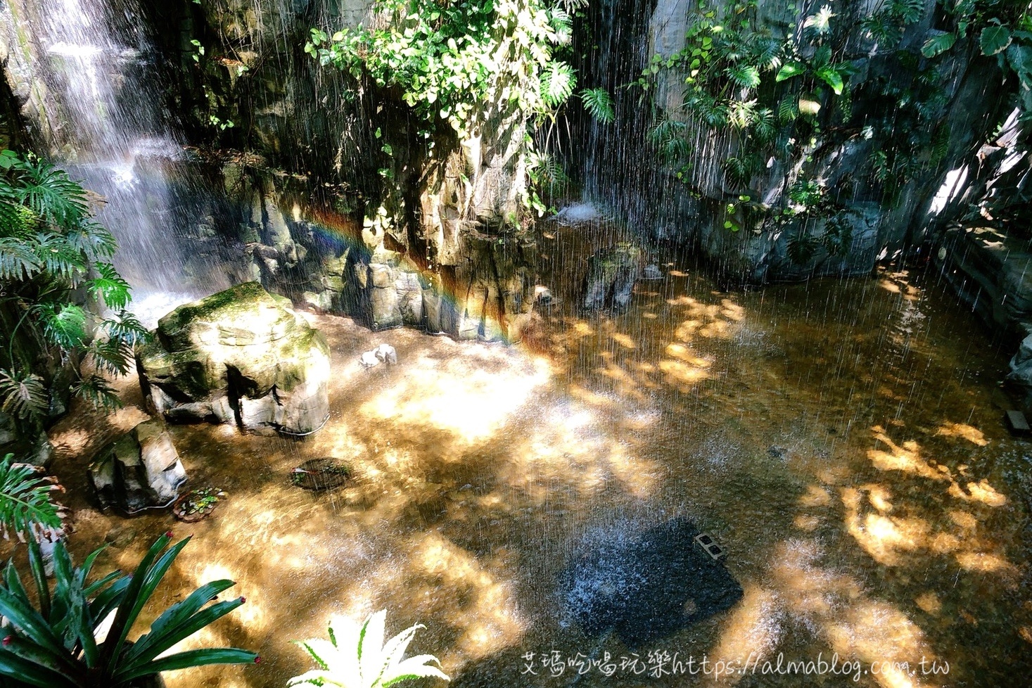 台中科學博物館植物園