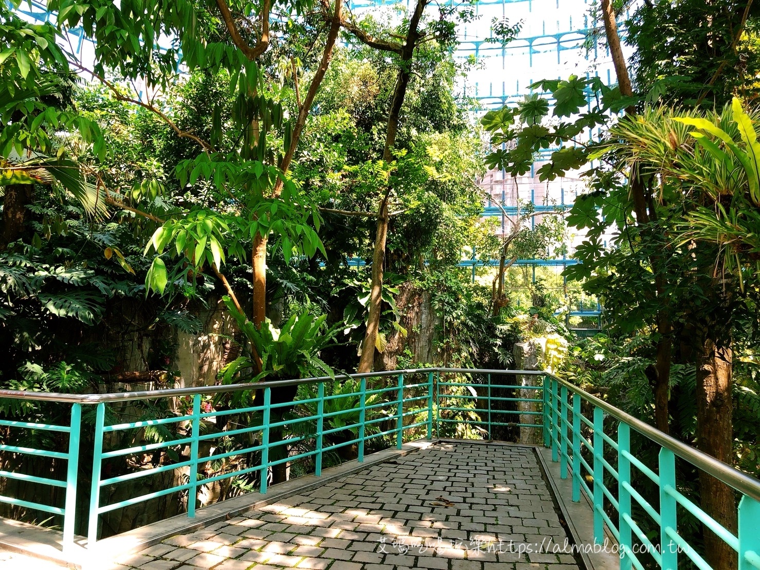 台中科學博物館植物園