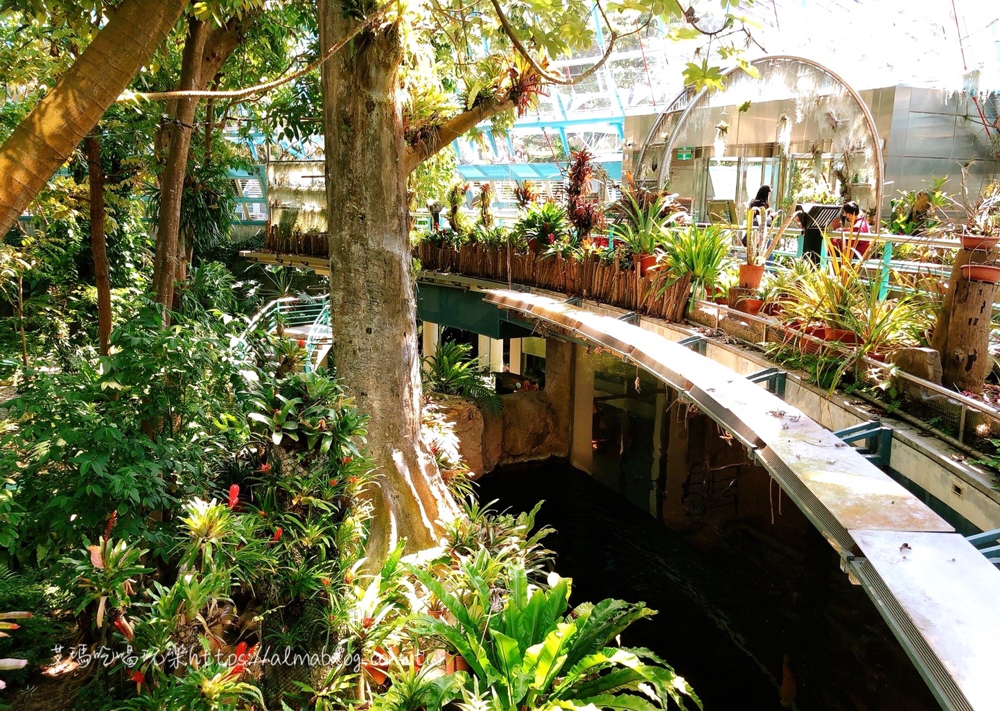台中科學博物館植物園