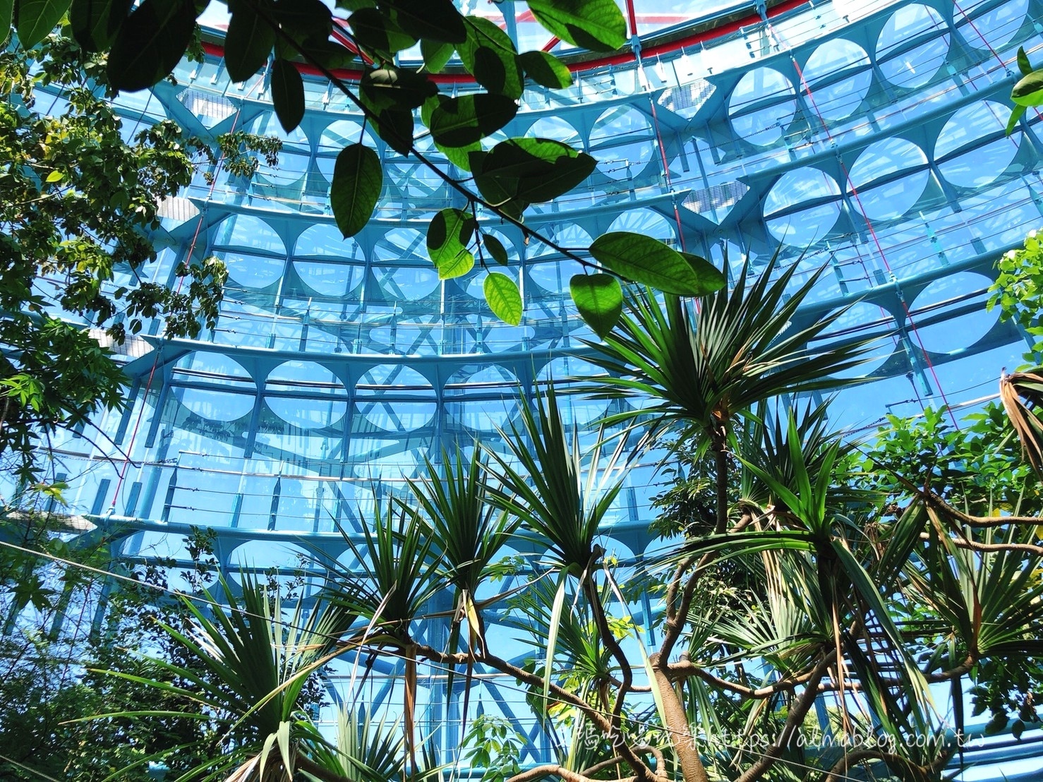 台中科學博物館植物園
