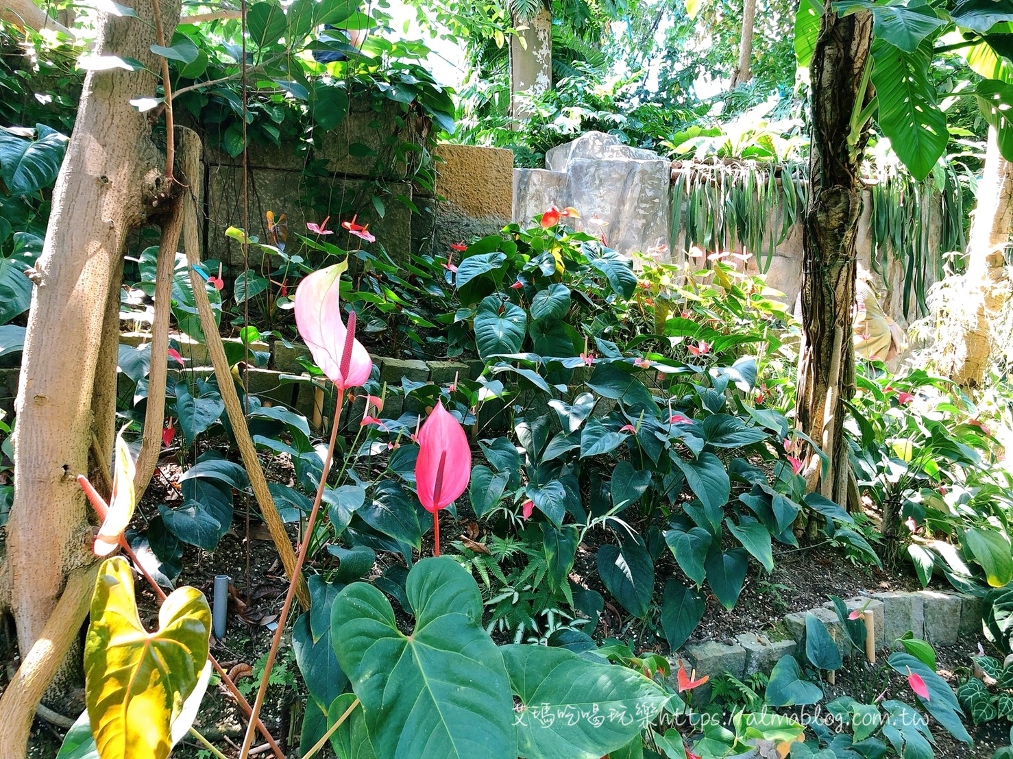 台中科學博物館植物園