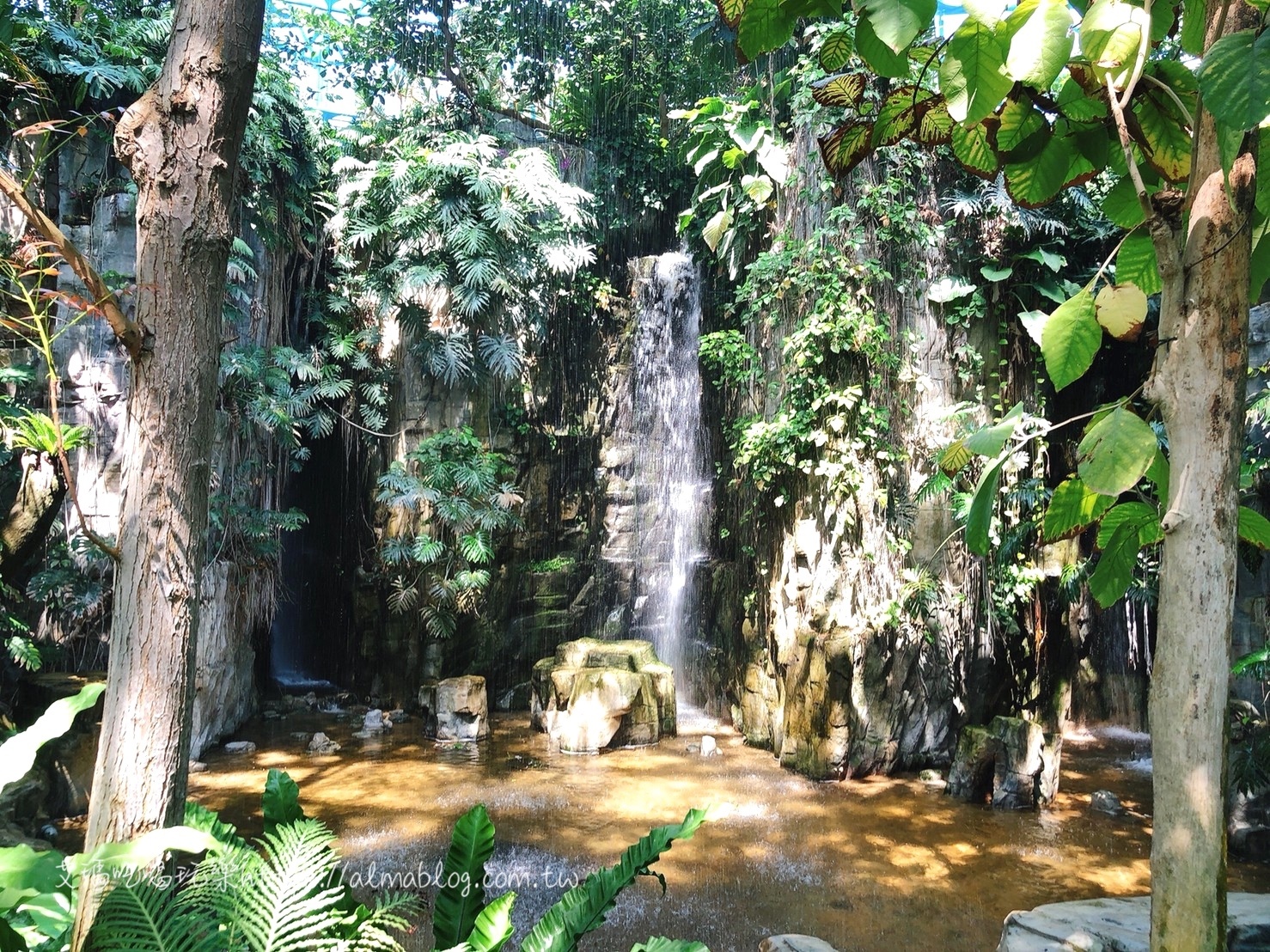 台中科學博物館植物園