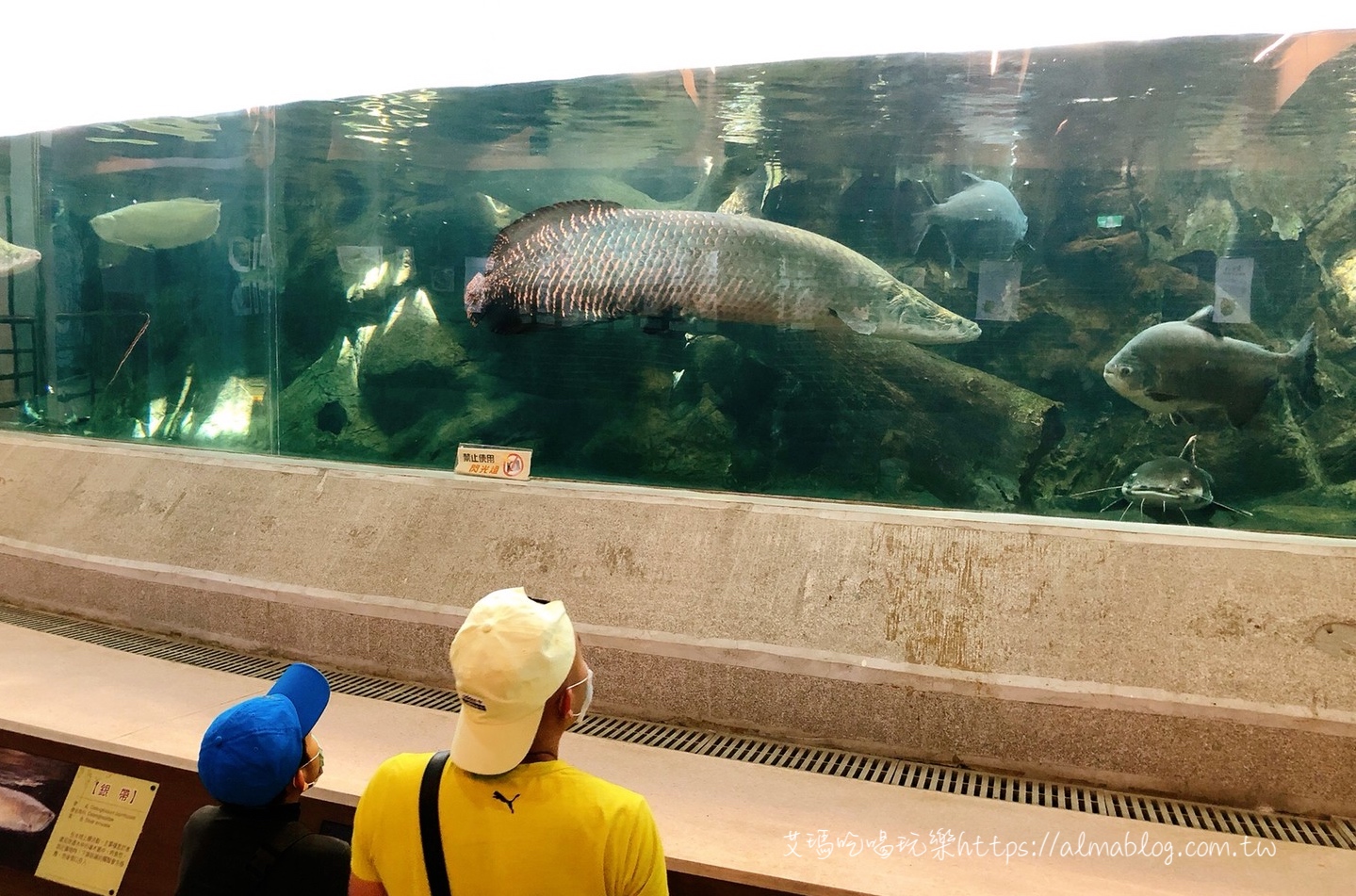台中科學博物館植物園