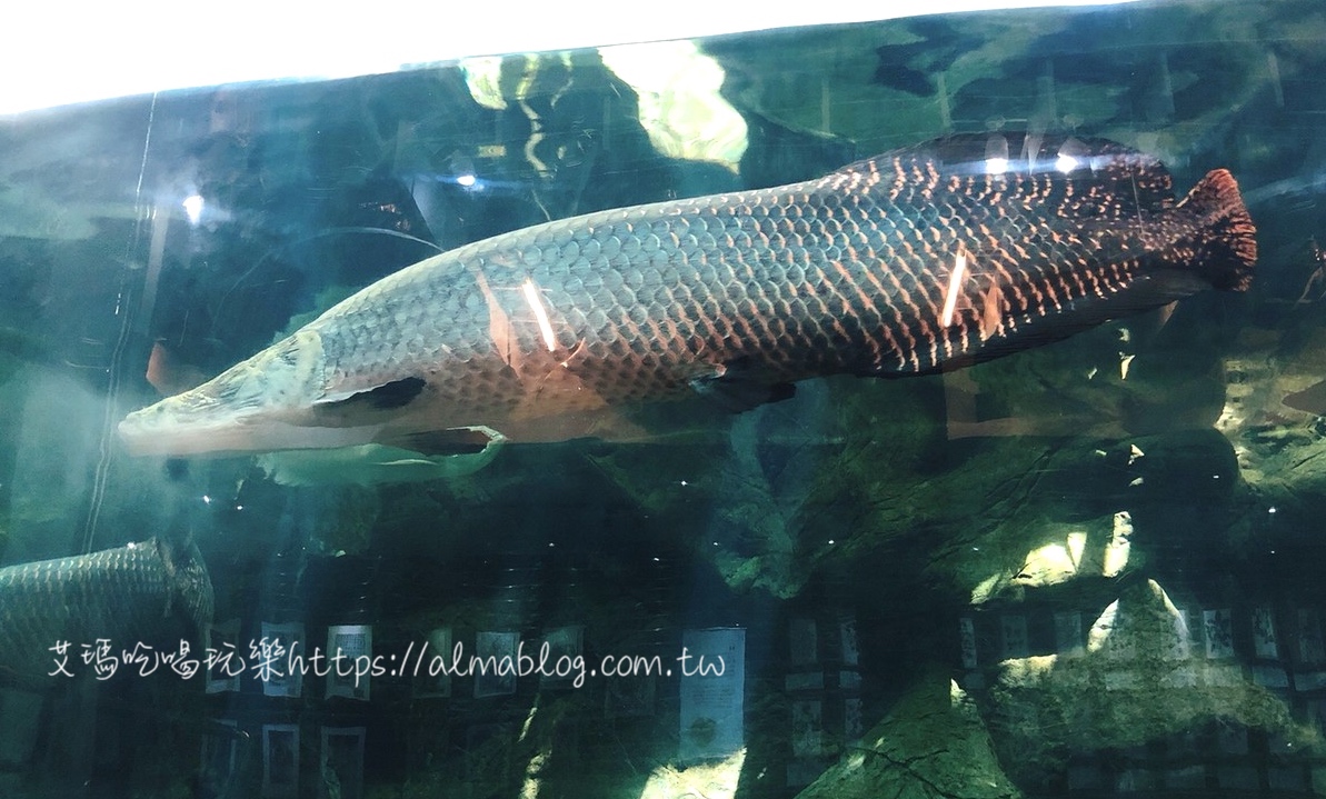 台中科學博物館植物園