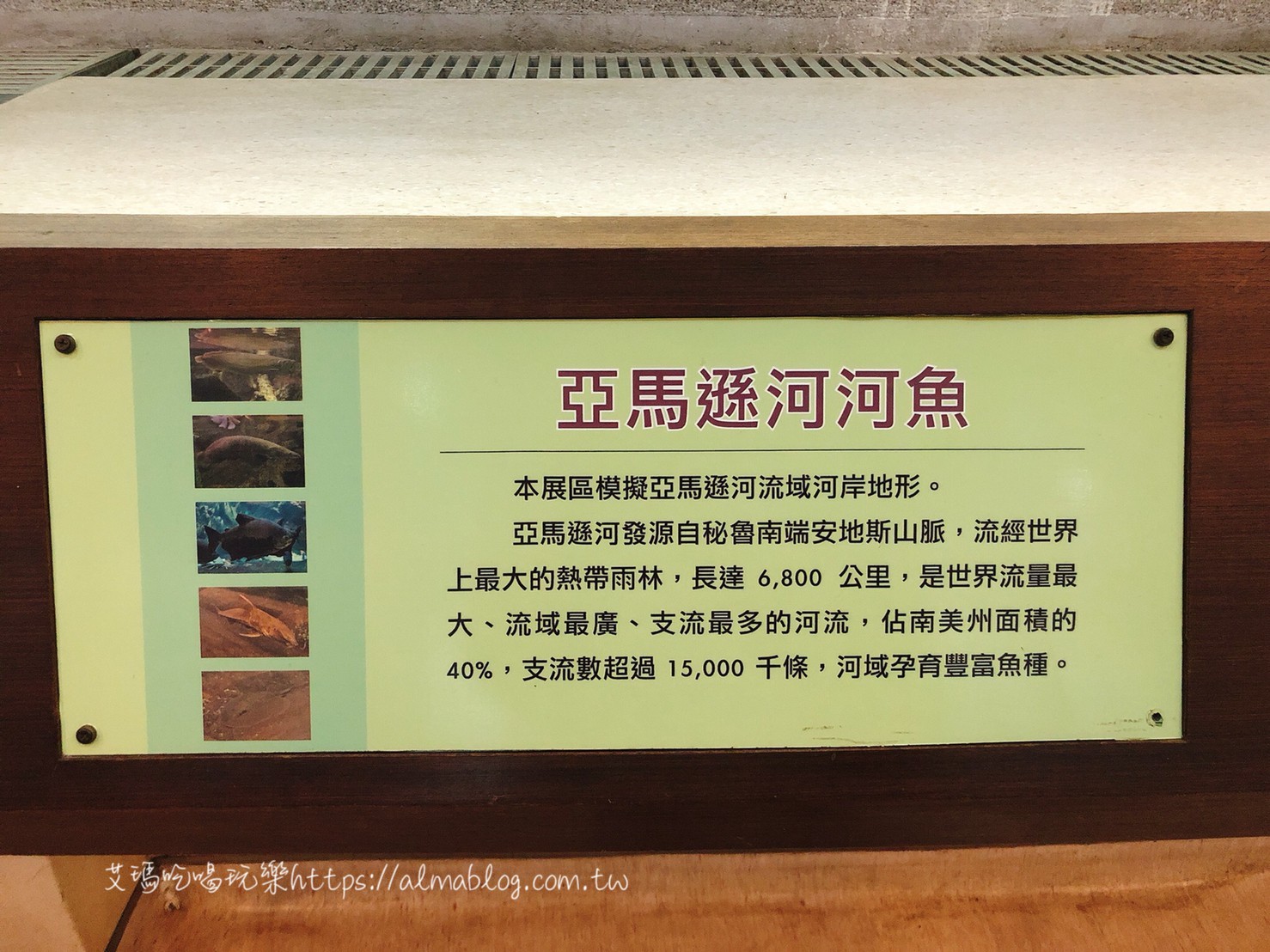 台中科學博物館植物園,熱帶雨林溫室,週末親子遊,銅板門票,雨天備案 台中科學博物館植物園,熱帶雨林溫室,週末親子遊,銅板門票,雨天備案