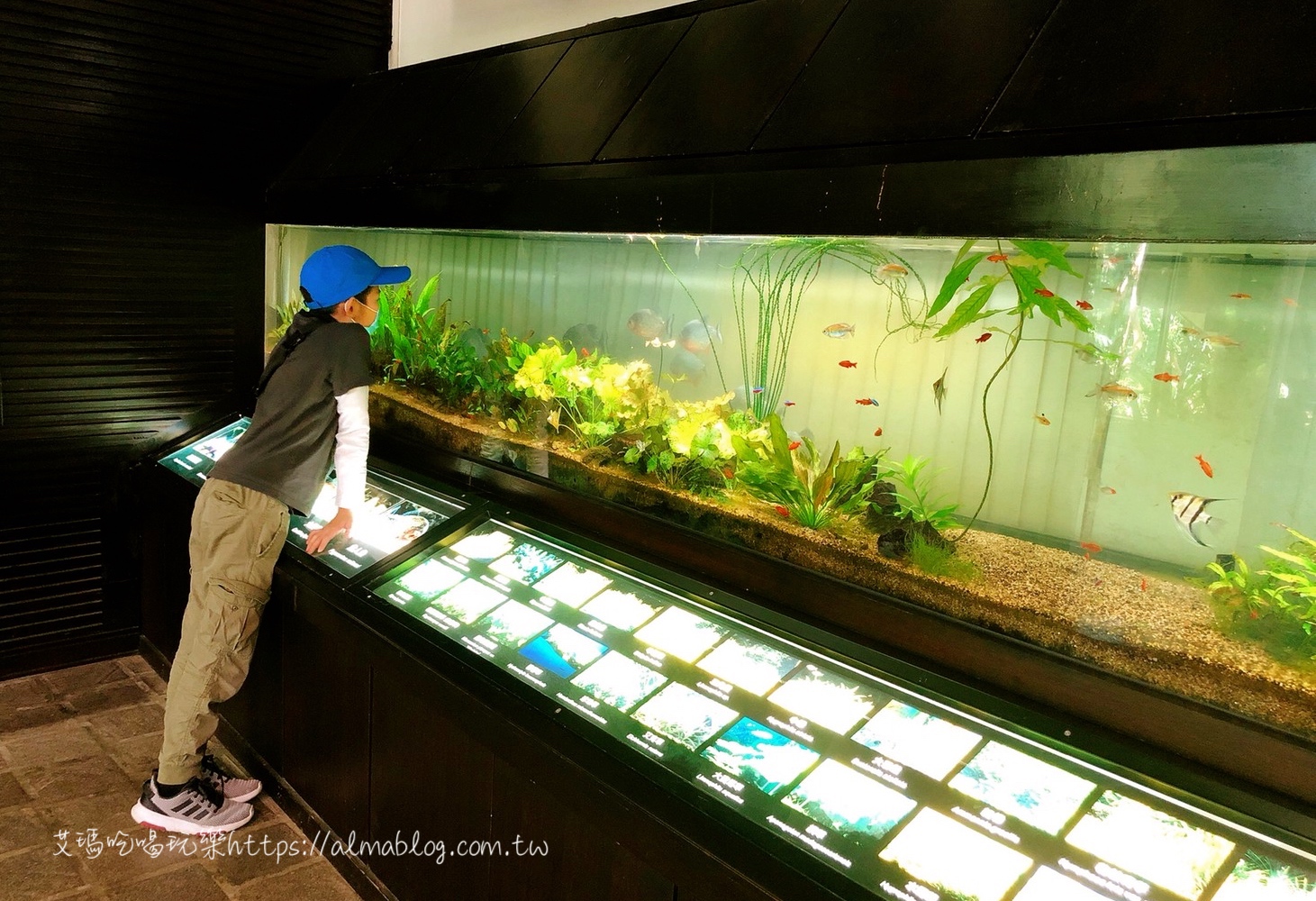 台中科學博物館植物園