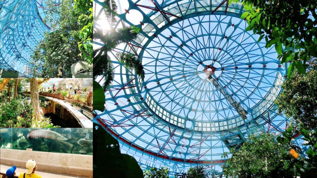 台中科學博物館植物園,熱帶雨林溫室,週末親子遊,銅板門票,雨天備案 @艾瑪  吃喝玩樂札記