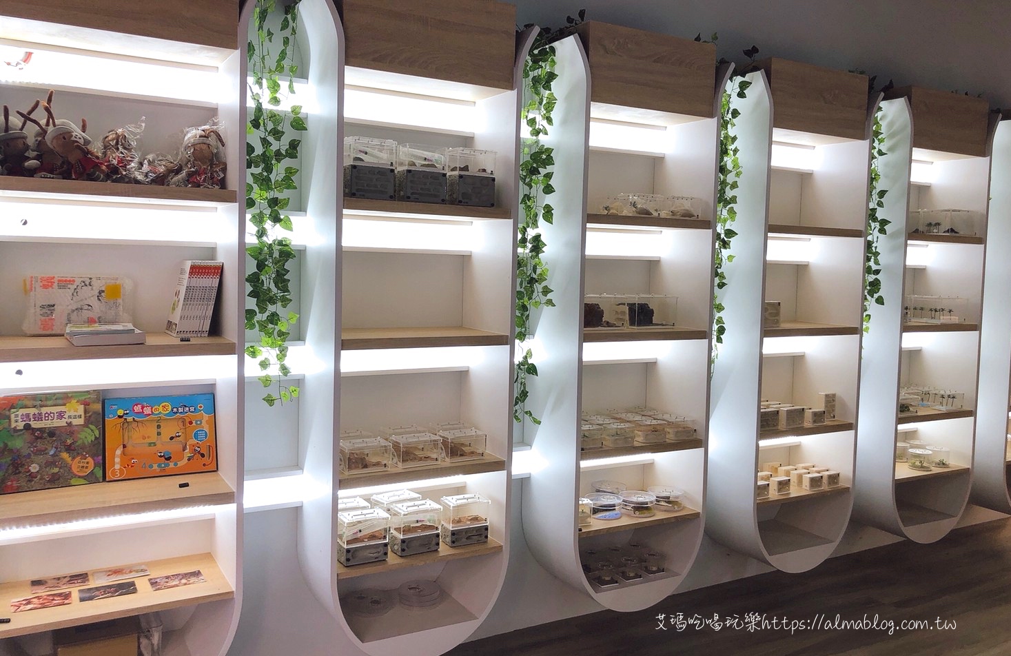  台灣螞蟻生態博物館