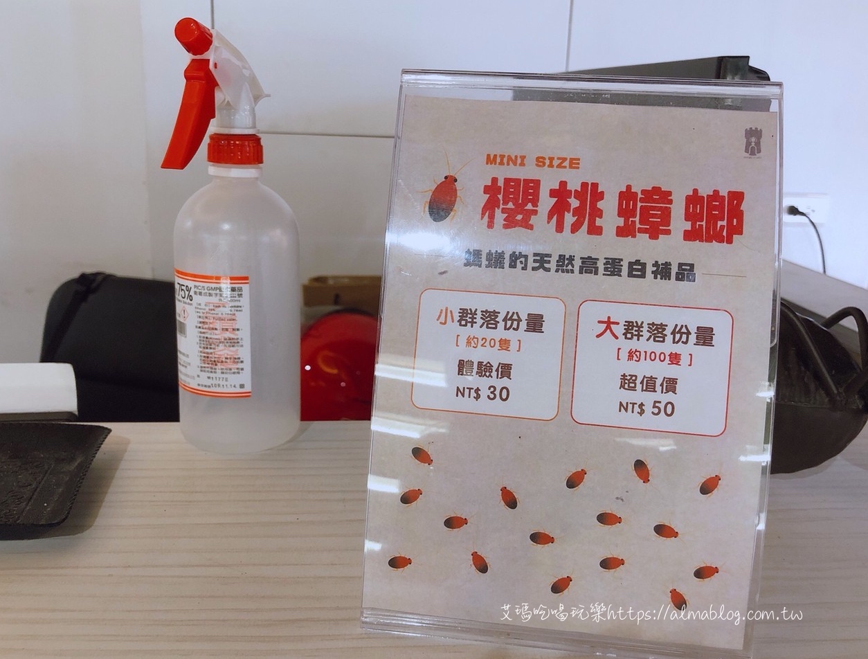  台灣螞蟻生態博物館