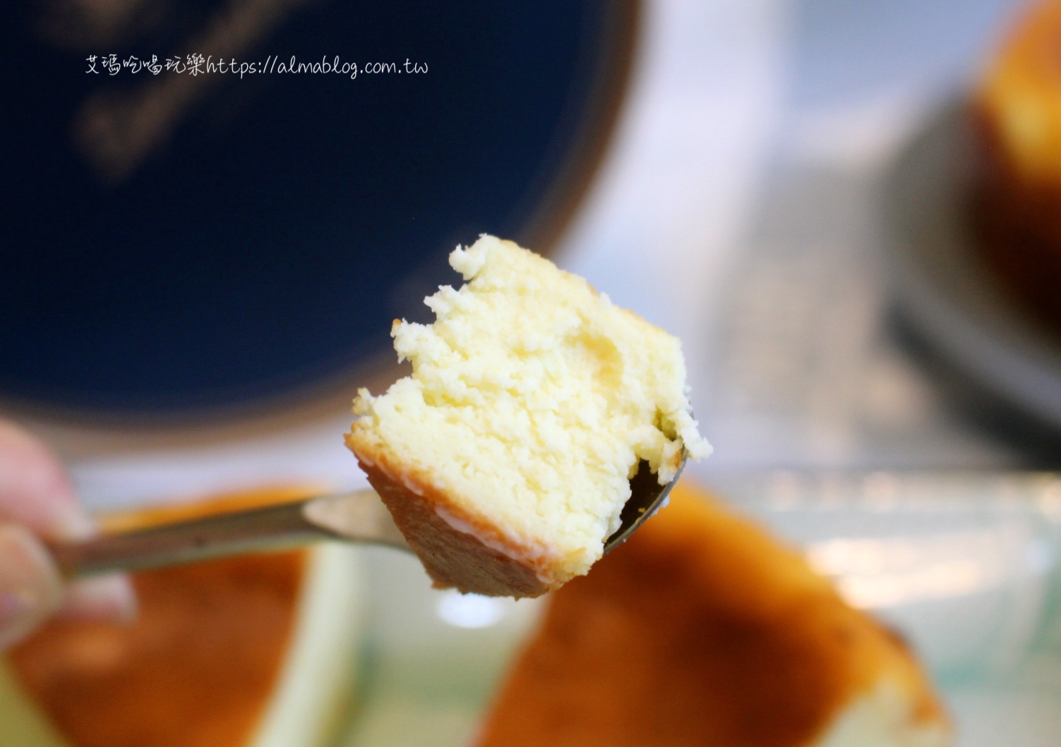 〖佳頤蛋糕屋〗中壢在地五年CAKE!蛋糕不加一滴水.澳洲輕乳酪.巴斯克重乳酪.彌月蛋糕試吃 〖佳頤蛋糕屋〗中壢在地五年CAKE!蛋糕不加一滴水.澳洲輕乳酪.巴斯克重乳酪.彌月蛋糕試吃