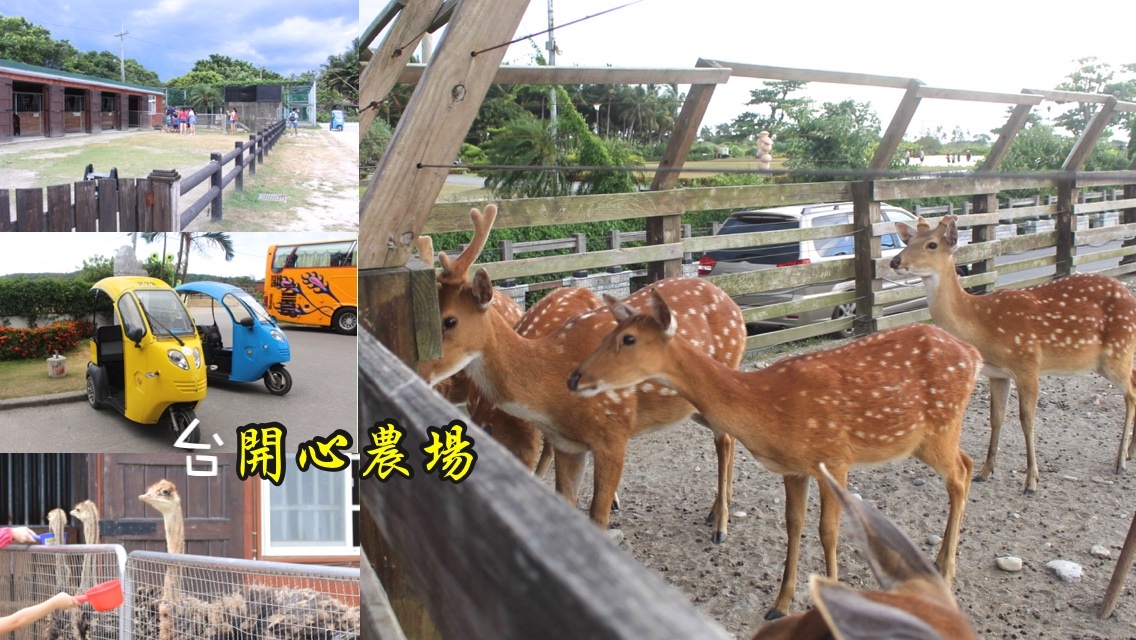 免費景點,動物餵食,台開心農場,小鹿斑比,花蓮景點,騎馬 @艾瑪  吃喝玩樂札記