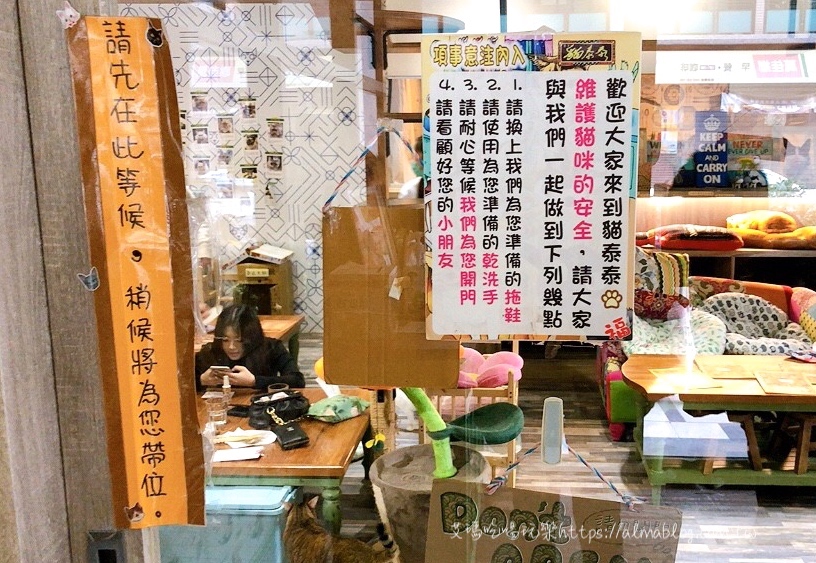 〖貓泰泰 Mao Thai Thai〗開業六年貓咪餐廳!體驗當一個專業貓奴.來者是客貓是主子.泰式料理อาหารไทย 〖貓泰泰 Mao Thai Thai〗開業六年貓咪餐廳!體驗當一個專業貓奴.來者是客貓是主子.泰式料理อาหารไทย