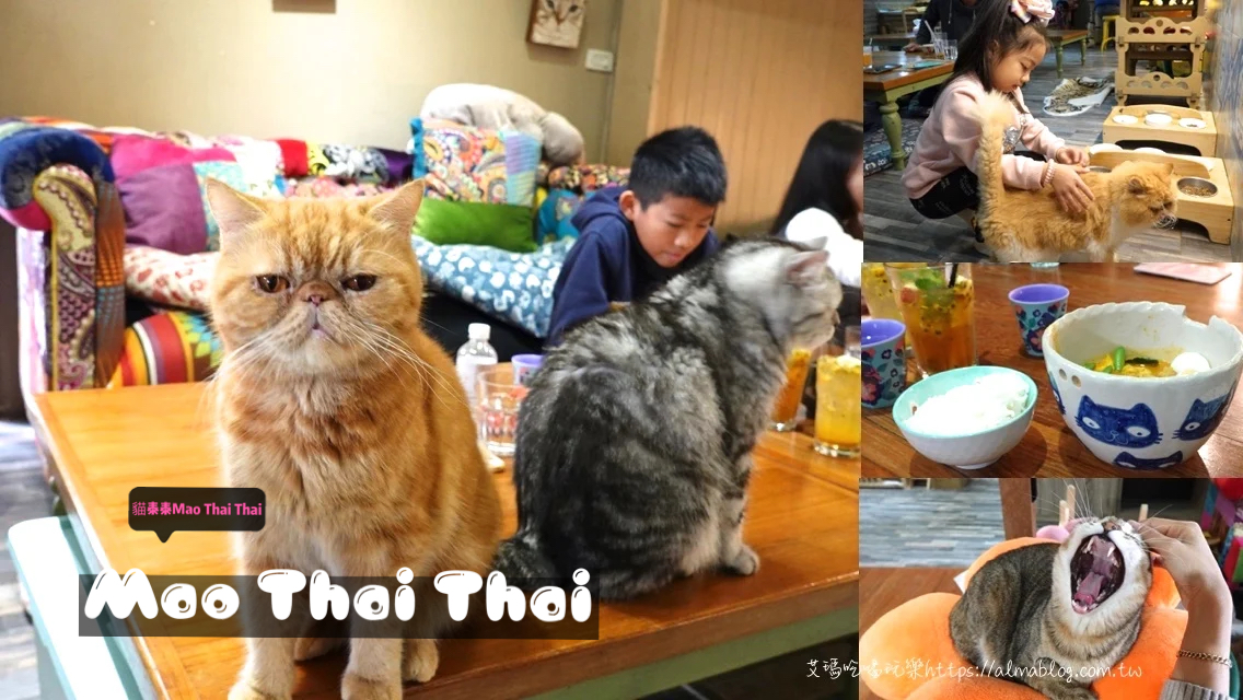 〖貓泰泰 Mao Thai Thai〗開業六年貓咪餐廳!體驗當一個專業貓奴.來者是客貓是主子.泰式料理อาหารไทย 〖貓泰泰 Mao Thai Thai〗開業六年貓咪餐廳!體驗當一個專業貓奴.來者是客貓是主子.泰式料理อาหารไทย
