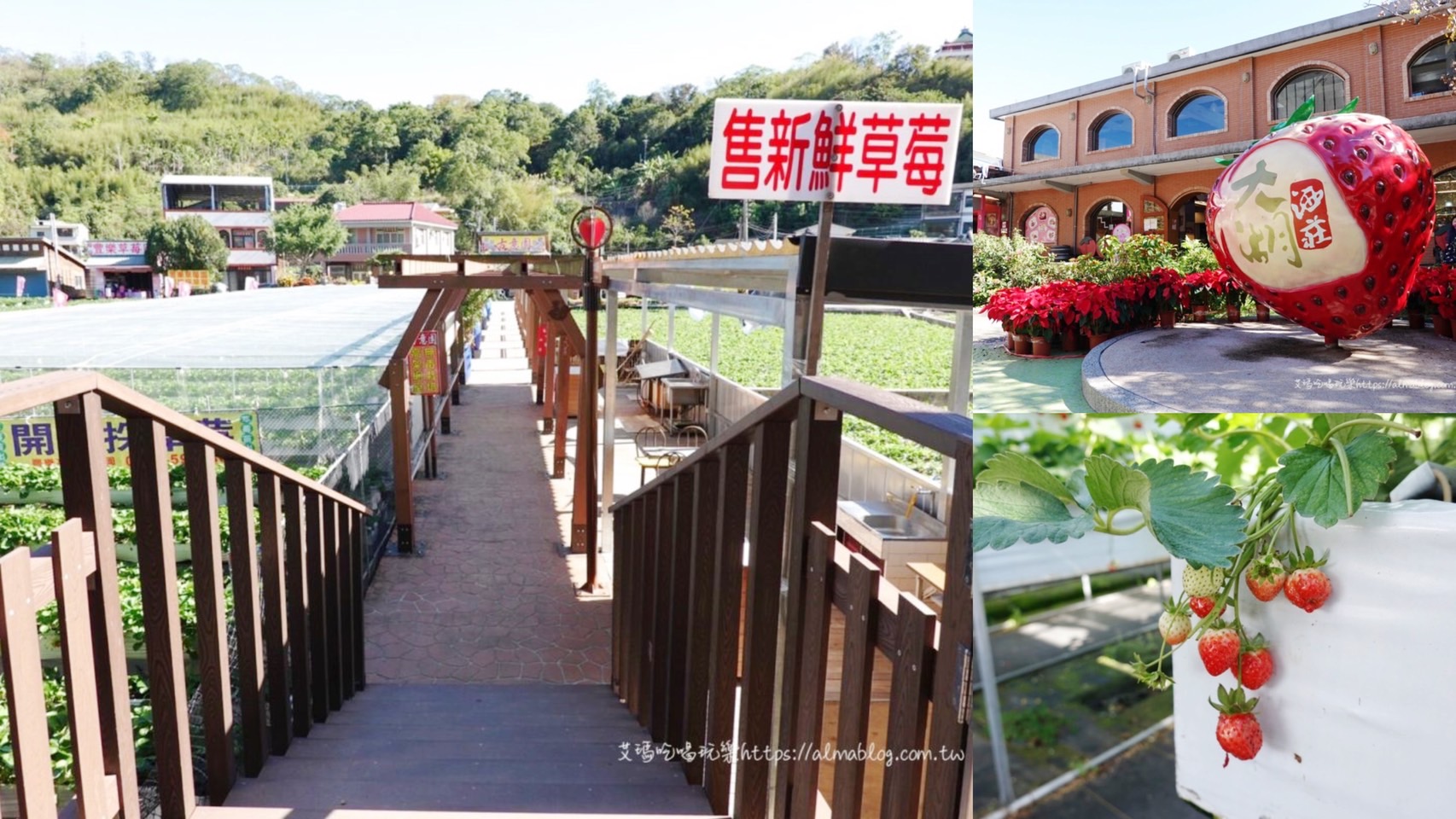 苗栗美食,苗栗小吃,苗栗懶人包,苗栗住宿,苗栗伴手禮,苗栗旅遊,苗栗好玩,苗栗親子客,苗栗公園,苗栗親子遊,南庄老街,通霄王煎包,通霄賴家煎包,吳煎包,小倆口自助冰店,廟口阿嬷臭豆腐,鹽通霄觀光園區,裕芳通霄店,紀家肉粽,一級棒鵝肉小吃店,瑞盛客家米食,田新牛家莊,蘆竹湳古厝,香草田園,耕牛園炸雞,苑裡煎餃.垂坤食品,苑𥚃好咖.大湖草莓文化館,湯溫泉,桂梅小吃.清安豆腐街,鐘鼎山林 ,穎川美食館,鹿角café 店家,卓也小屋,場頂山朝聖寺,獅山親子公園,竹南啤酒廠,四方鮮乳牧場,祥賀芒果冰,雅聞七里香玫瑰森林,日新島,銅鑼茶廠,雙峰草堂,財米食,臺灣客家文化館,神秘彩繪隧道,星仙草,巴巴坑道休閒農場,大坪鴨肉麵,日高商行,泰雅原住民文化產業園區,台灣水牛城,後龍免費景點,慈雲宮廟口小吃,苗栗500攤封街夜市