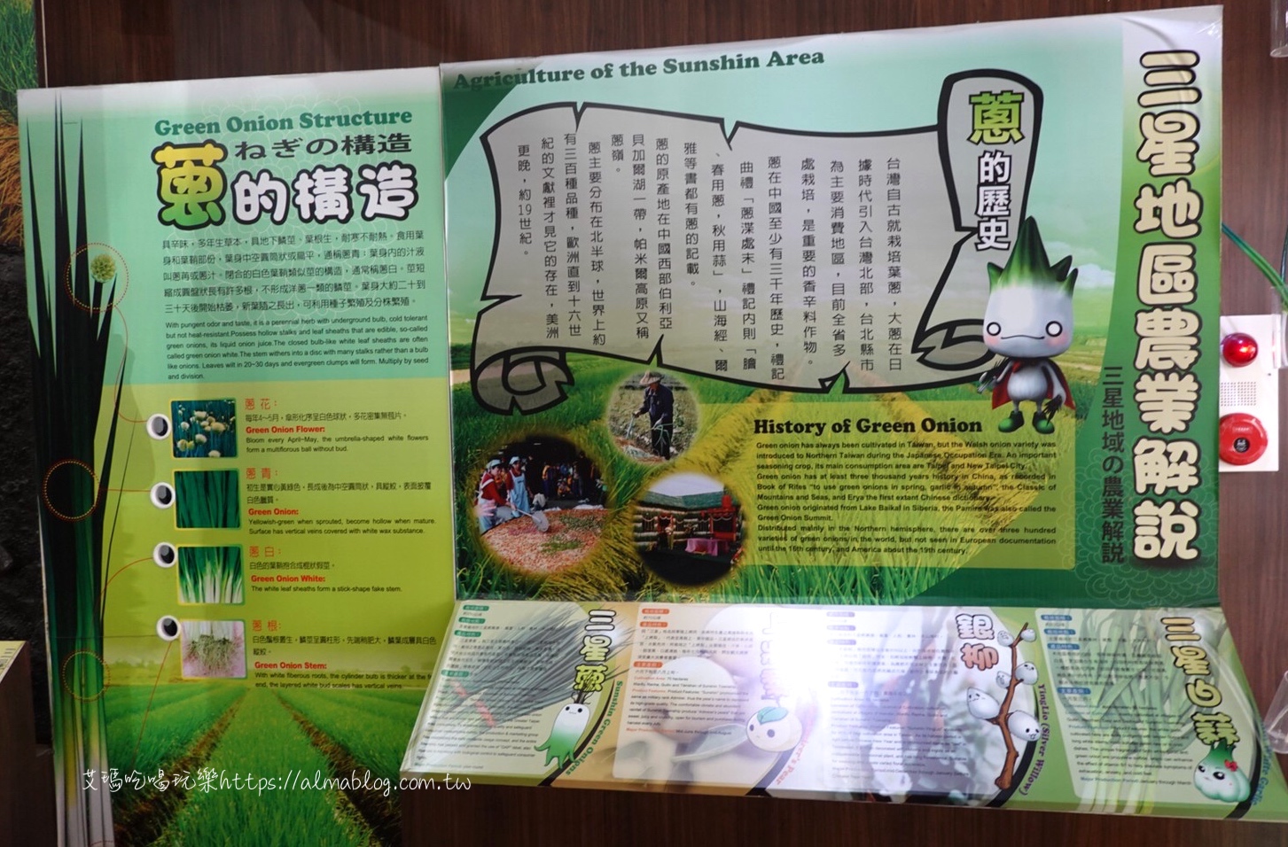 三星蔥,三星青蔥文化館,免費景點