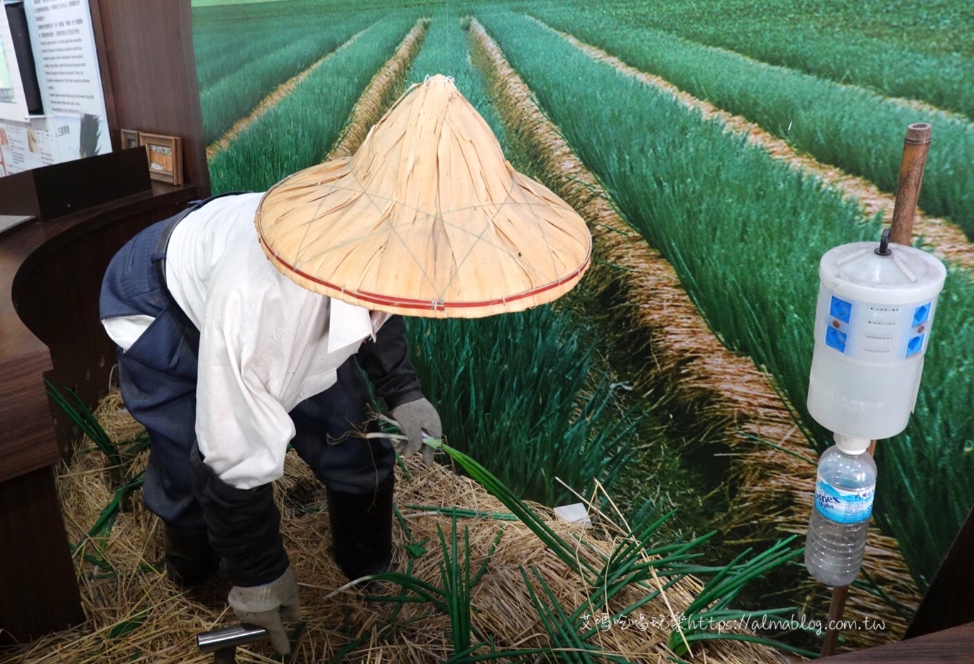 三星蔥,三星青蔥文化館,免費景點