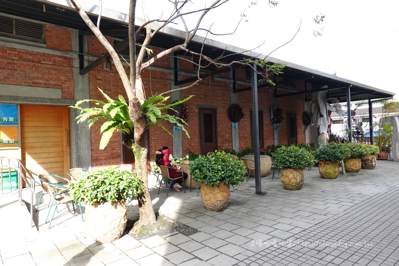 三星蔥,三星青蔥文化館,免費景點