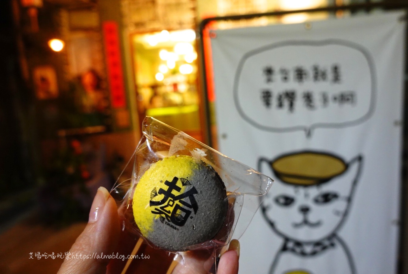 子龍點鴨