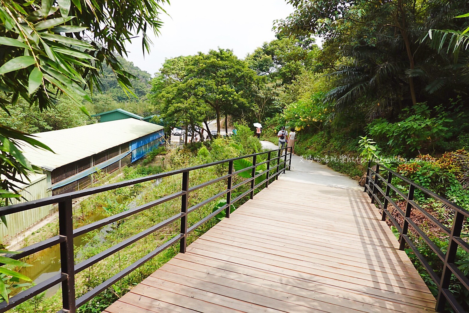 卓也小屋,卓也書園子,彩色包子,粉粿,苗栗景點 卓也小屋,卓也書園子,彩色包子,粉粿,苗栗景點