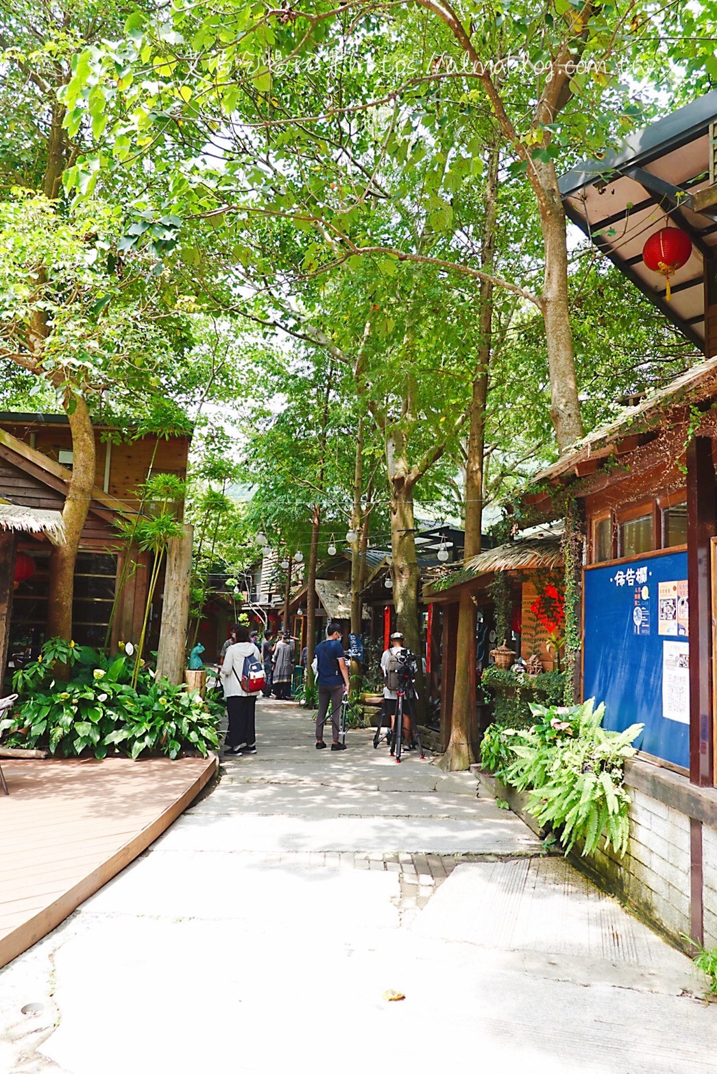 卓也小屋,卓也書園子,彩色包子,粉粿,苗栗景點 卓也小屋,卓也書園子,彩色包子,粉粿,苗栗景點