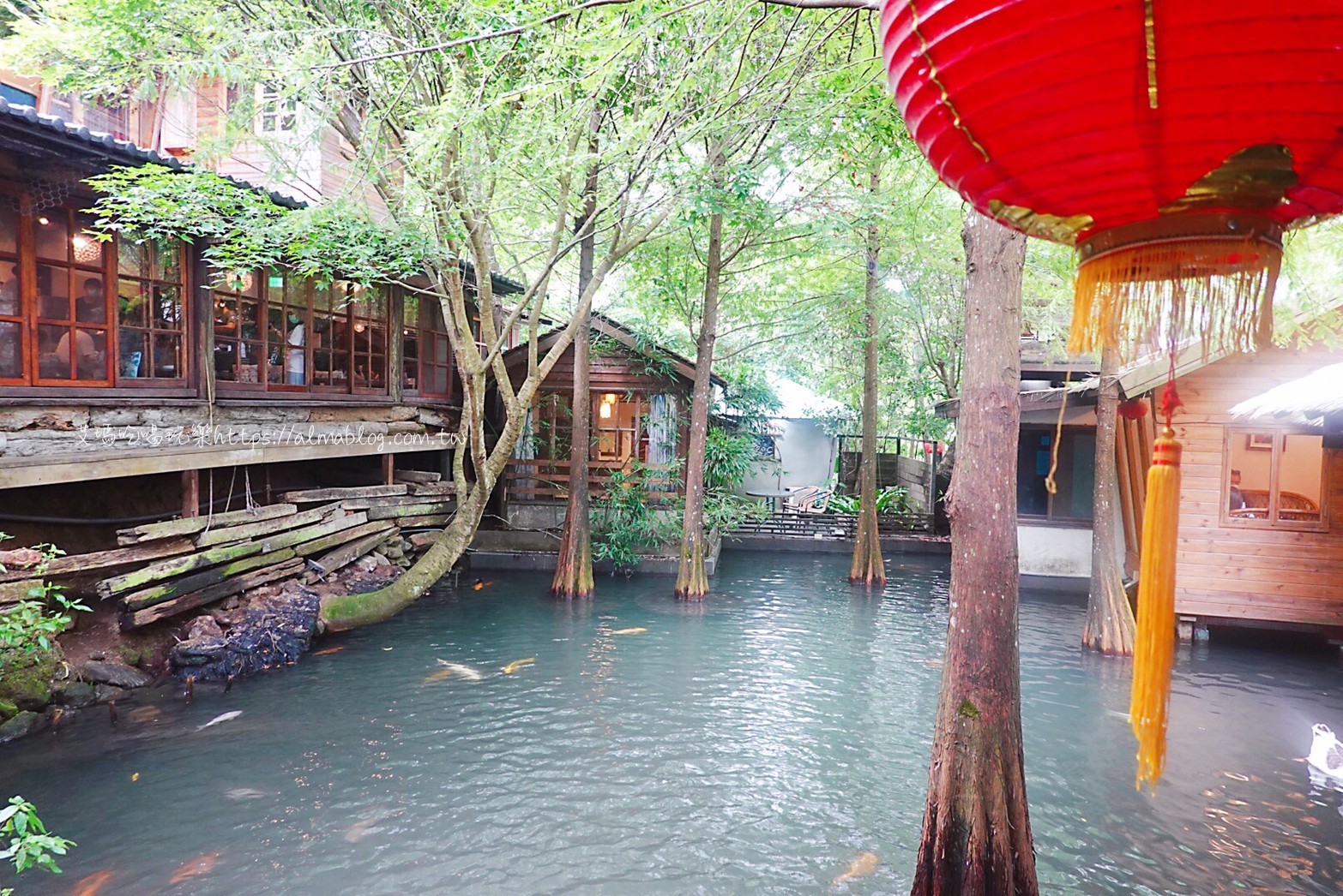 卓也小屋,卓也書園子,彩色包子,粉粿,苗栗景點 卓也小屋,卓也書園子,彩色包子,粉粿,苗栗景點