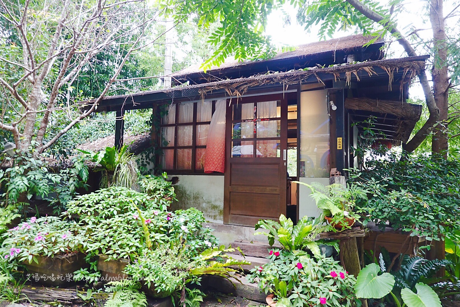 卓也小屋,卓也書園子,彩色包子,粉粿,苗栗景點 卓也小屋,卓也書園子,彩色包子,粉粿,苗栗景點