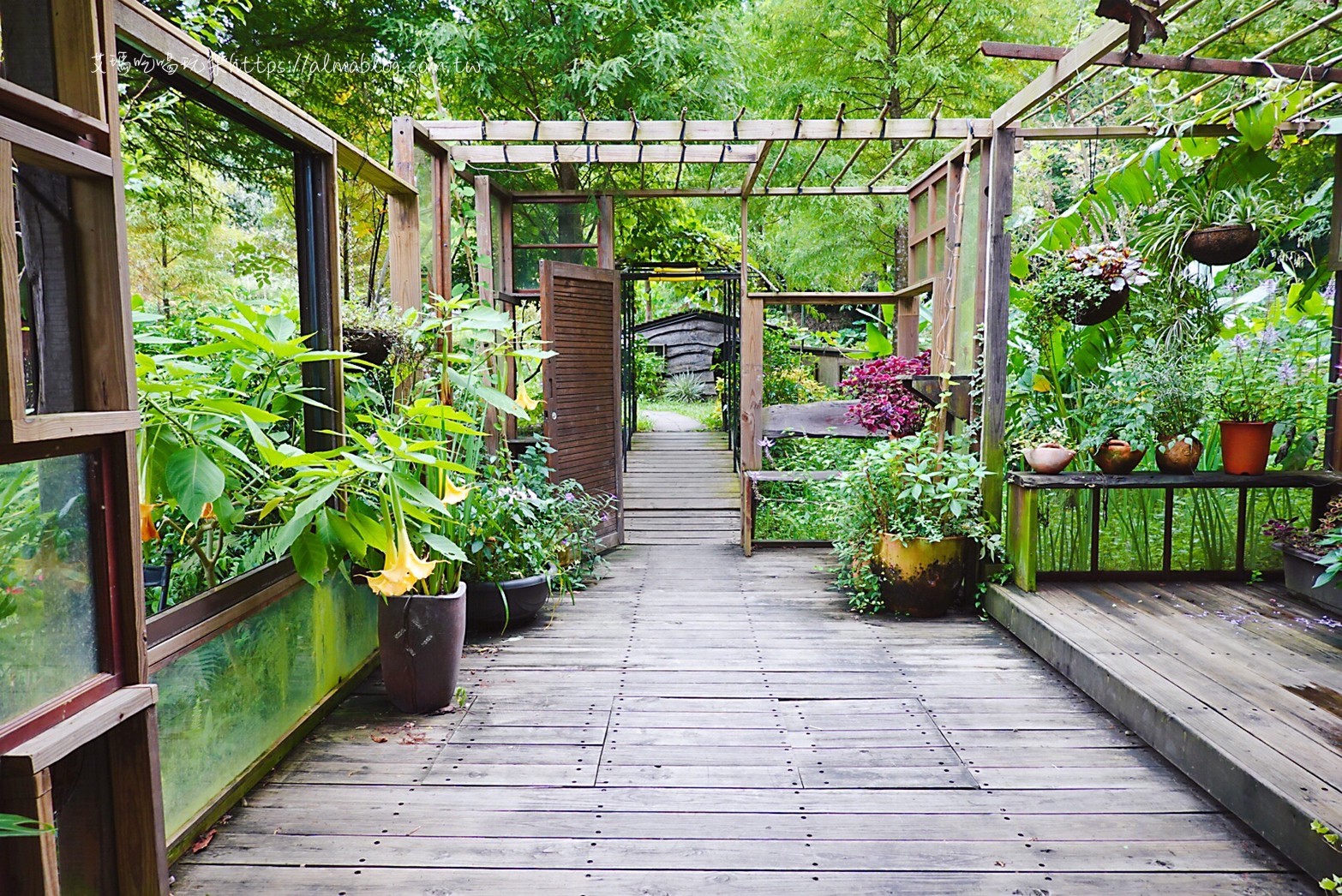 卓也小屋,卓也書園子,彩色包子,粉粿,苗栗景點 卓也小屋,卓也書園子,彩色包子,粉粿,苗栗景點