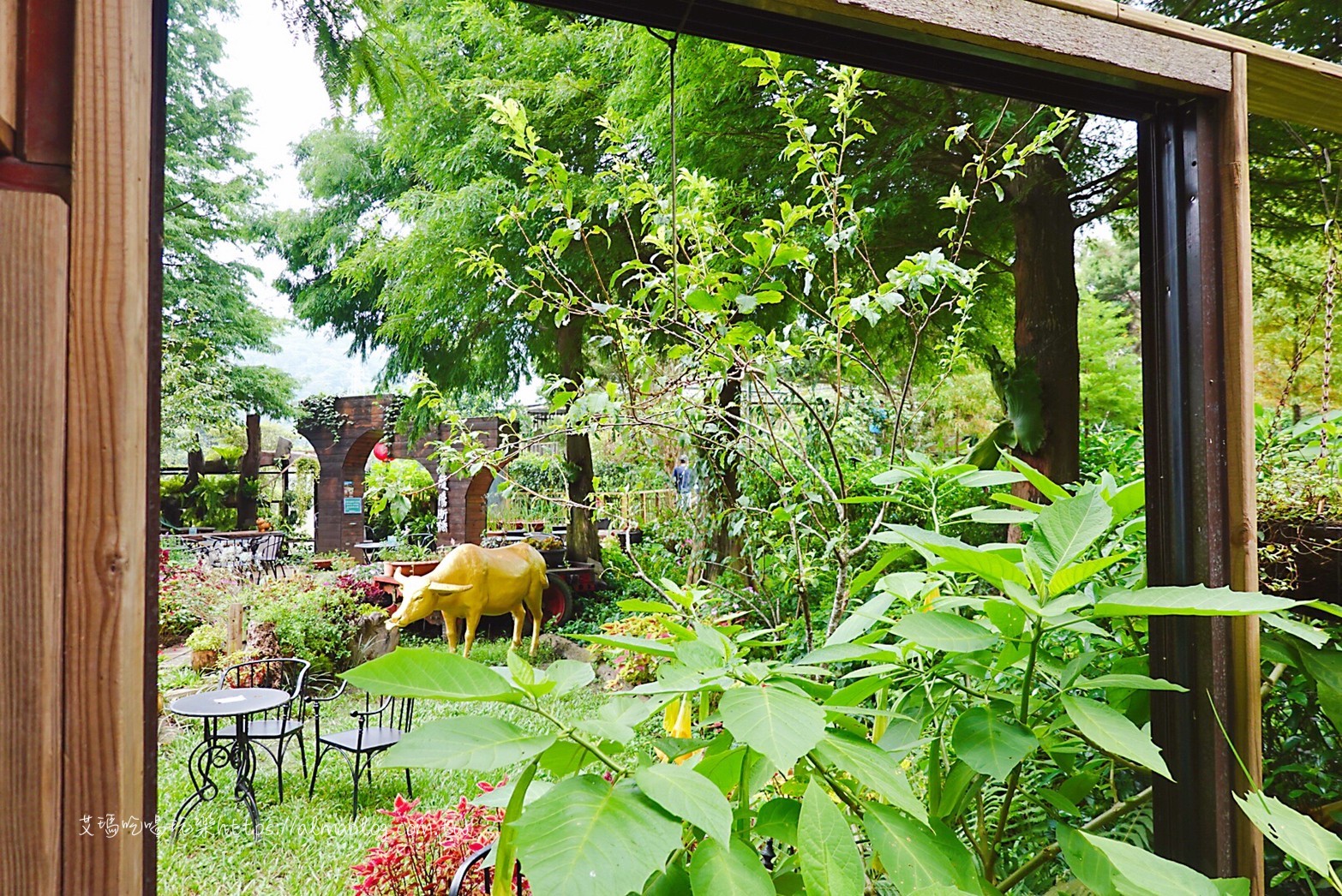 卓也小屋,卓也書園子,彩色包子,粉粿,苗栗景點 卓也小屋,卓也書園子,彩色包子,粉粿,苗栗景點