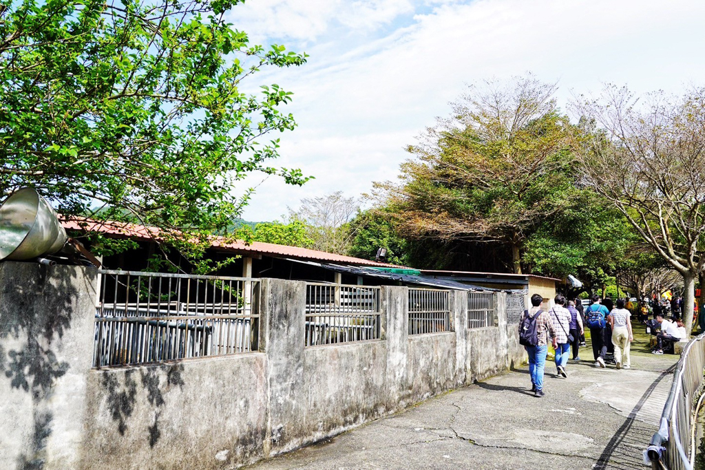 台灣山豬城