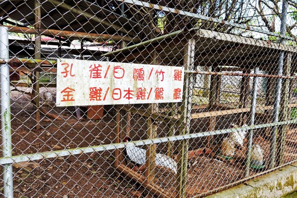 台灣山豬城