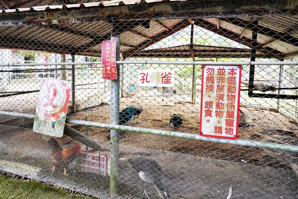 台灣山豬城
