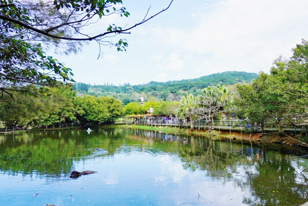 台灣山豬城