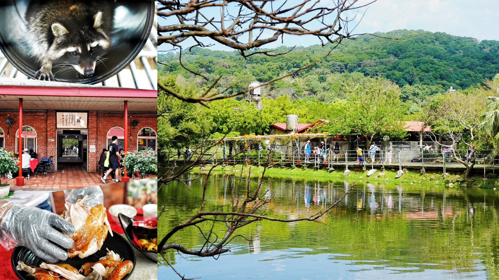 免費景點,動物園,台灣山豬城,台灣菜,家常菜,新北美食,林口小吃,林口美食,熱炒,熱炒店,甕烤雞,臺菜館,親子景點,農場 @艾瑪  吃喝玩樂札記