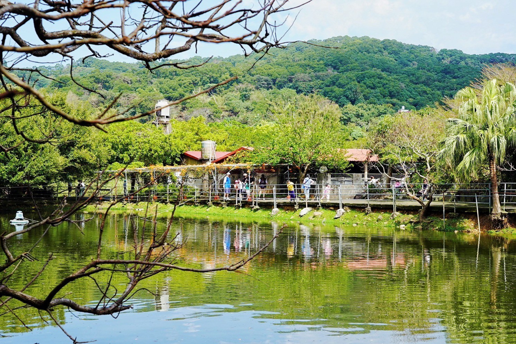 台灣山豬城
