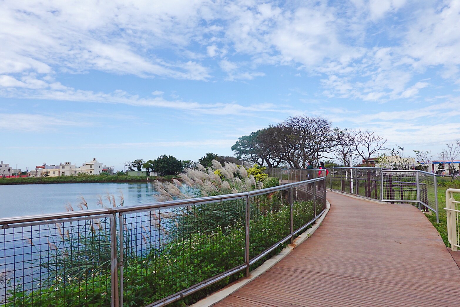 公園,水之丘主題公園,觀音草漯水之丘公園 公園,水之丘主題公園,觀音草漯水之丘公園