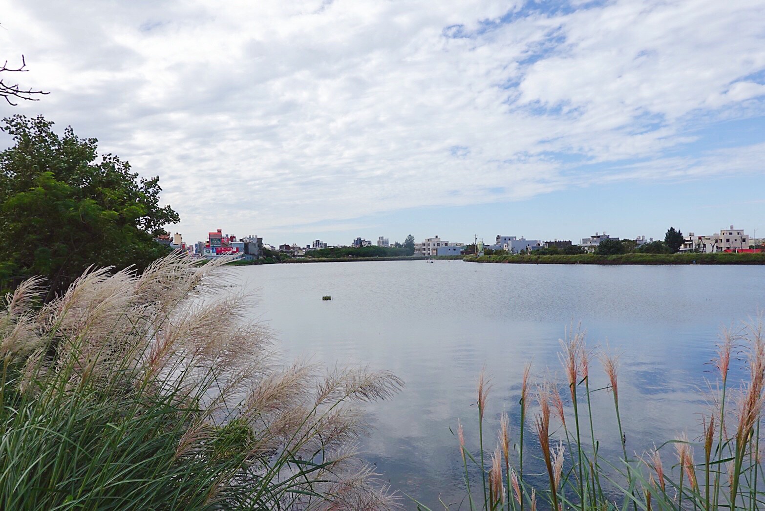 公園,水之丘主題公園,觀音草漯水之丘公園 公園,水之丘主題公園,觀音草漯水之丘公園