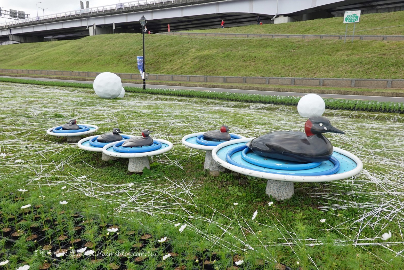 2021鴨鴨公園地景藝術展,免費景點,鴨鴨公園 2021鴨鴨公園地景藝術展,免費景點,鴨鴨公園