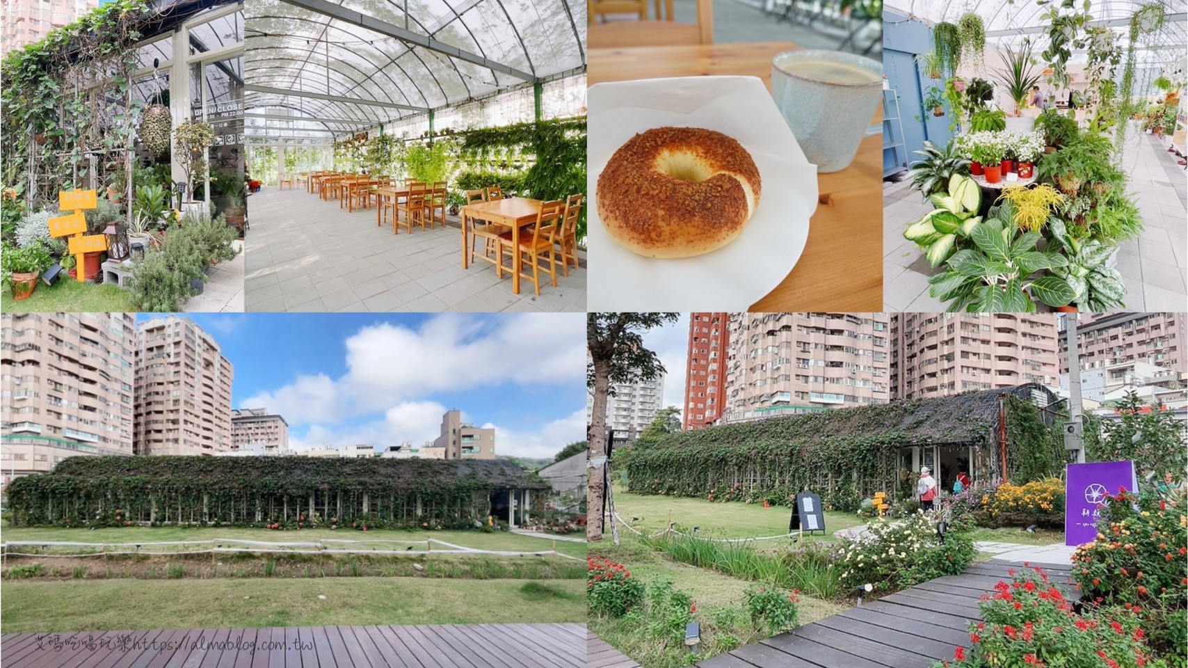 咖啡館,園藝,朝顏屋 3.2K,桃園美食,輕食 咖啡館,園藝,朝顏屋 3.2K,桃園美食,輕食