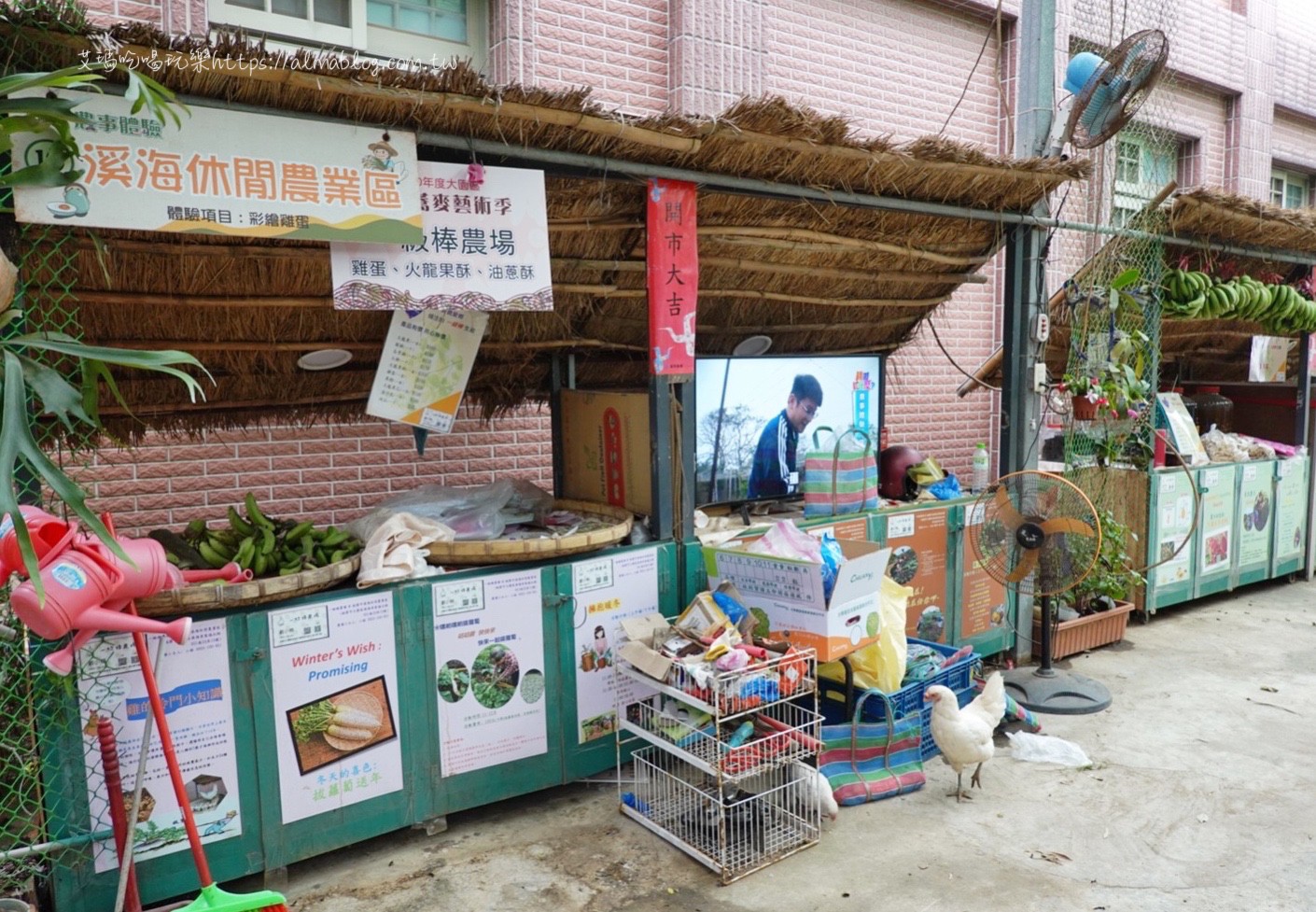 一極棒農場,大園農場,桃園景點,農場 一極棒農場,大園農場,桃園景點,農場