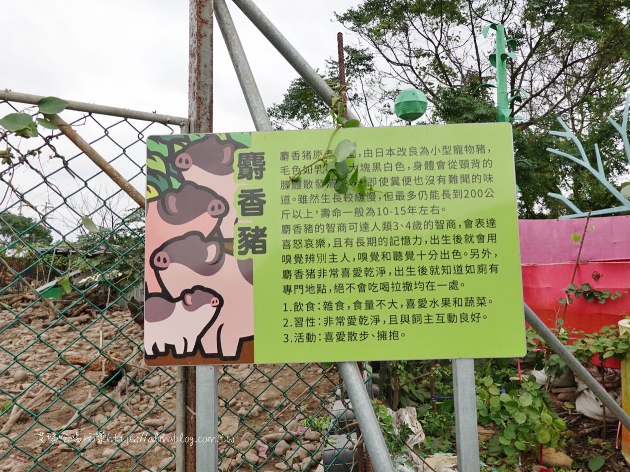 一極棒農場,大園農場,桃園景點,農場 一極棒農場,大園農場,桃園景點,農場