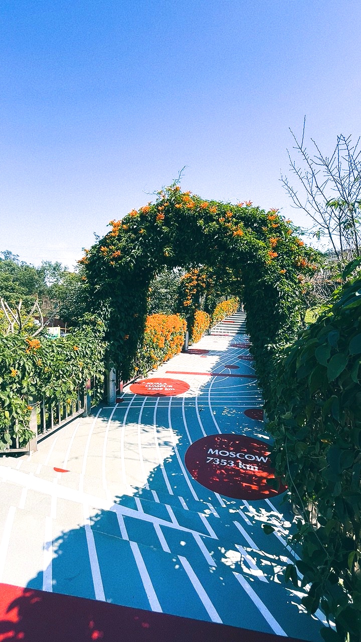 免費景點,新北公園,永吉公園,炮仗花 免費景點,新北公園,永吉公園,炮仗花