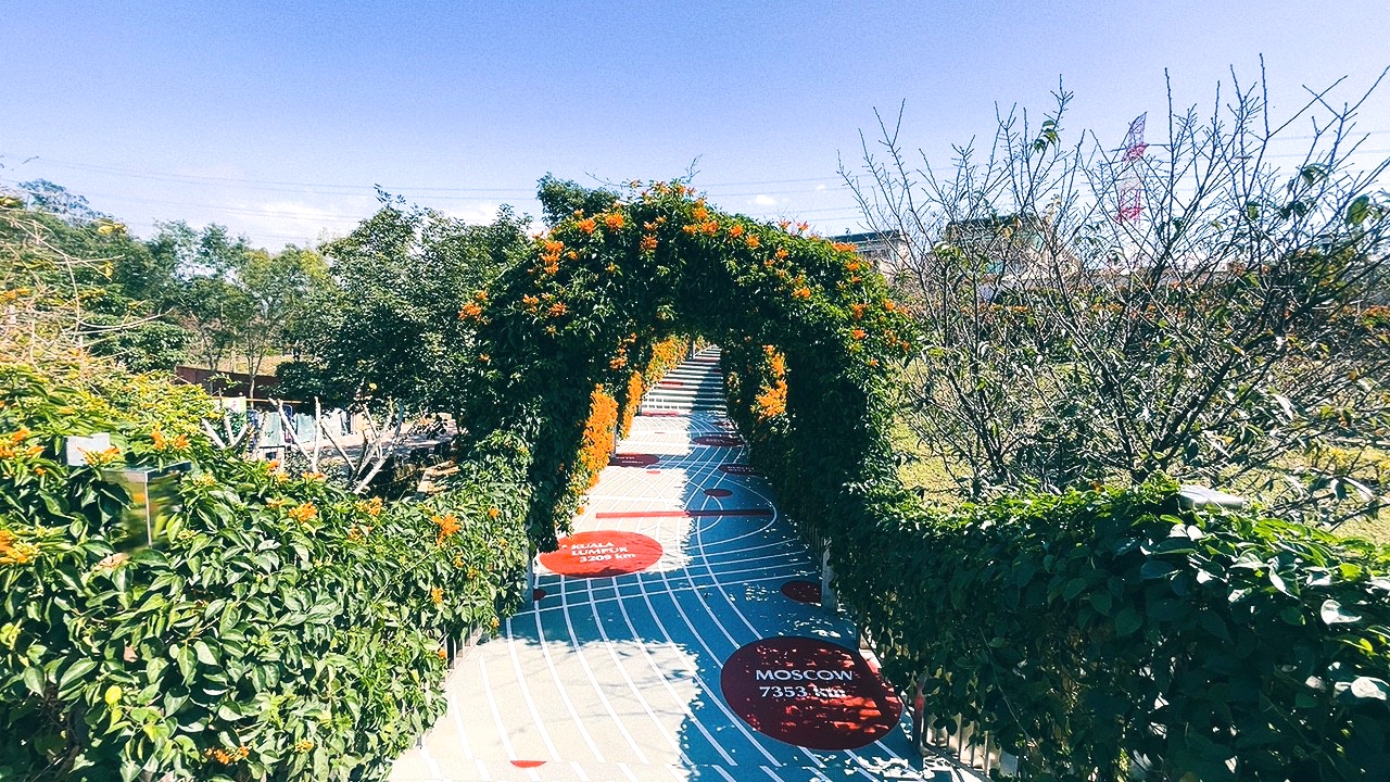 免費景點,新北公園,永吉公園,炮仗花 免費景點,新北公園,永吉公園,炮仗花