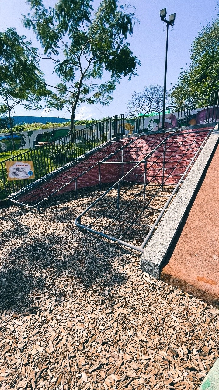 免費景點,新北公園,永吉公園,炮仗花 免費景點,新北公園,永吉公園,炮仗花
