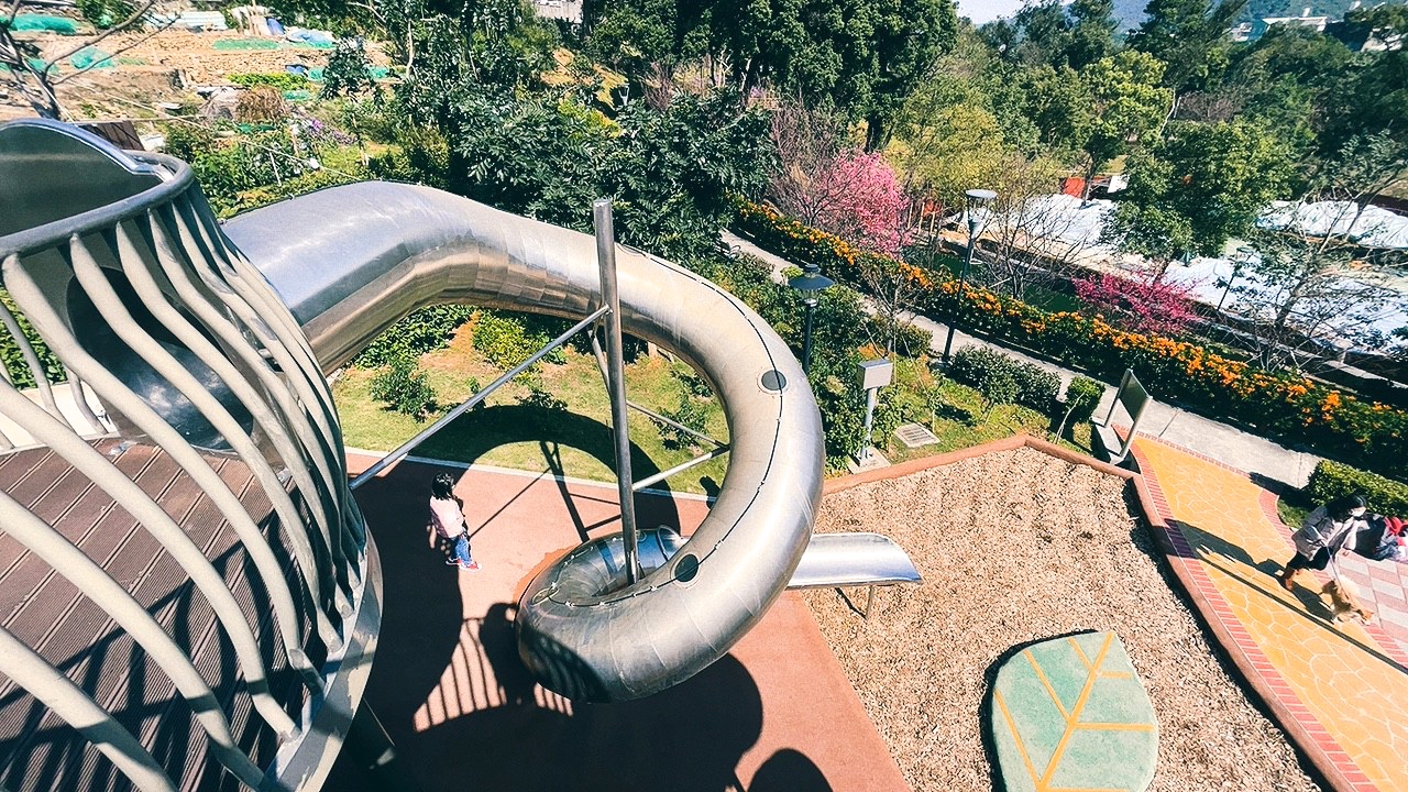 免費景點,新北公園,永吉公園,炮仗花 免費景點,新北公園,永吉公園,炮仗花