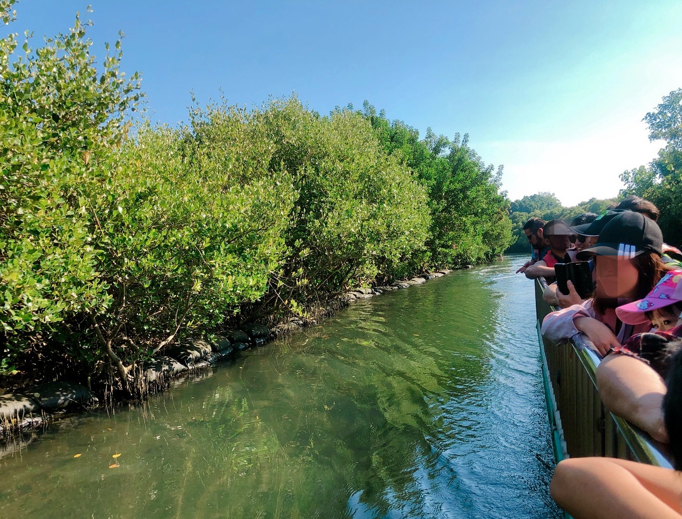 四草綠色隧道，抹香鯨博物館，台南景點