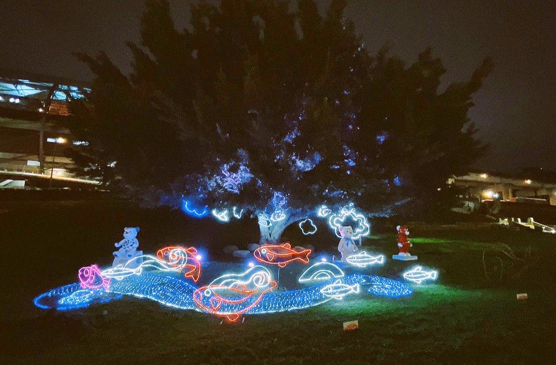 免費入場,新北大都會公園,新北景點,泰迪熊,燈會 免費入場,新北大都會公園,新北景點,泰迪熊,燈會